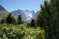 La Meije, depuis le Jardin Alpin du Lautaret