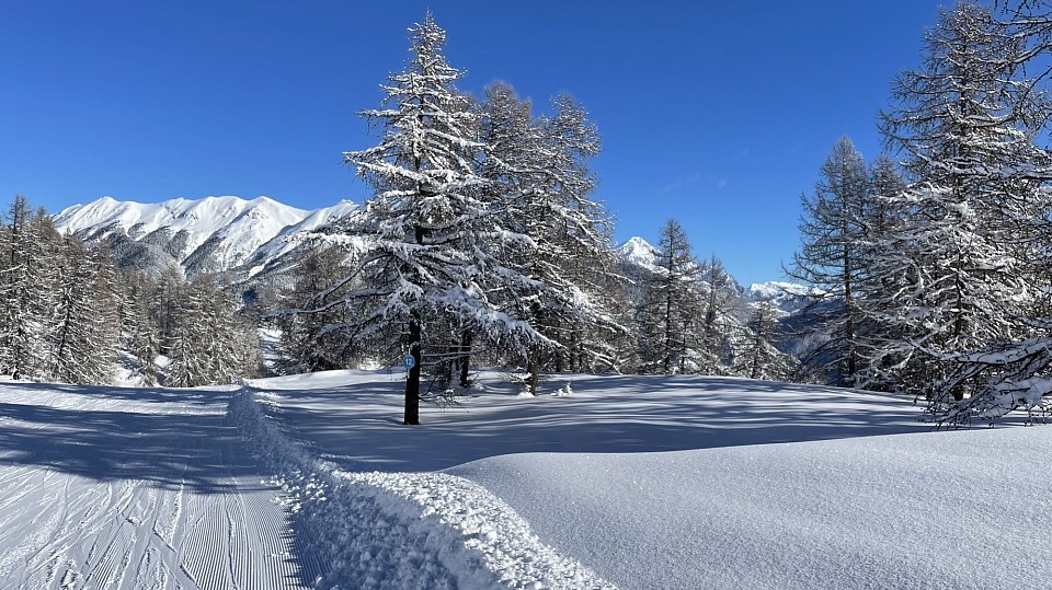 sous le Prorel le 29/01/2026